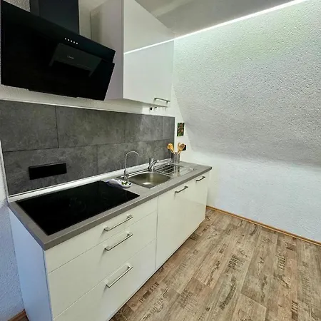 Apartment Am Ronhof Fürth Extérieur photo